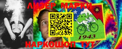 шишки Аргун