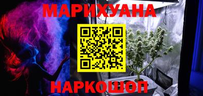 шишки Аргун