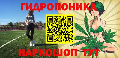 прущие грибы Апшеронск