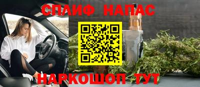 прущие грибы Апшеронск
