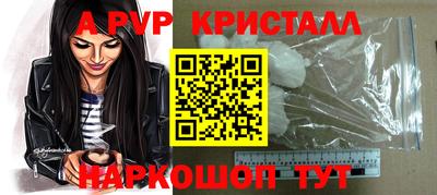 шишки Аргун