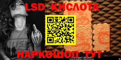 шишки Аргун