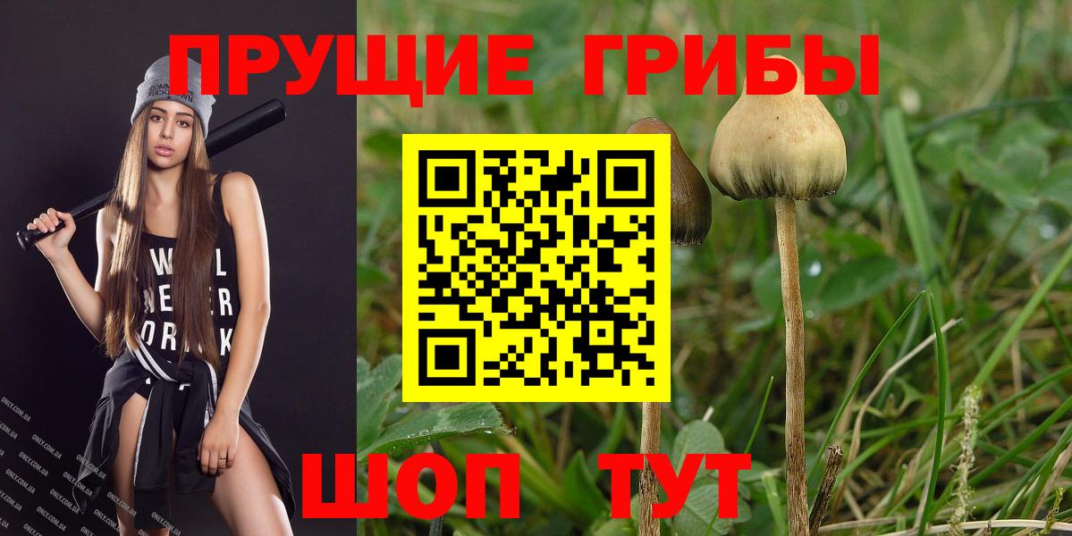 A PVP СК кристаллы  Гашиш  Будённовск  Вход с VPN  Мефедрон кристаллы  ГАШИШ  МДМА  КОКАИН  Бошки Шишки  Кодеин 