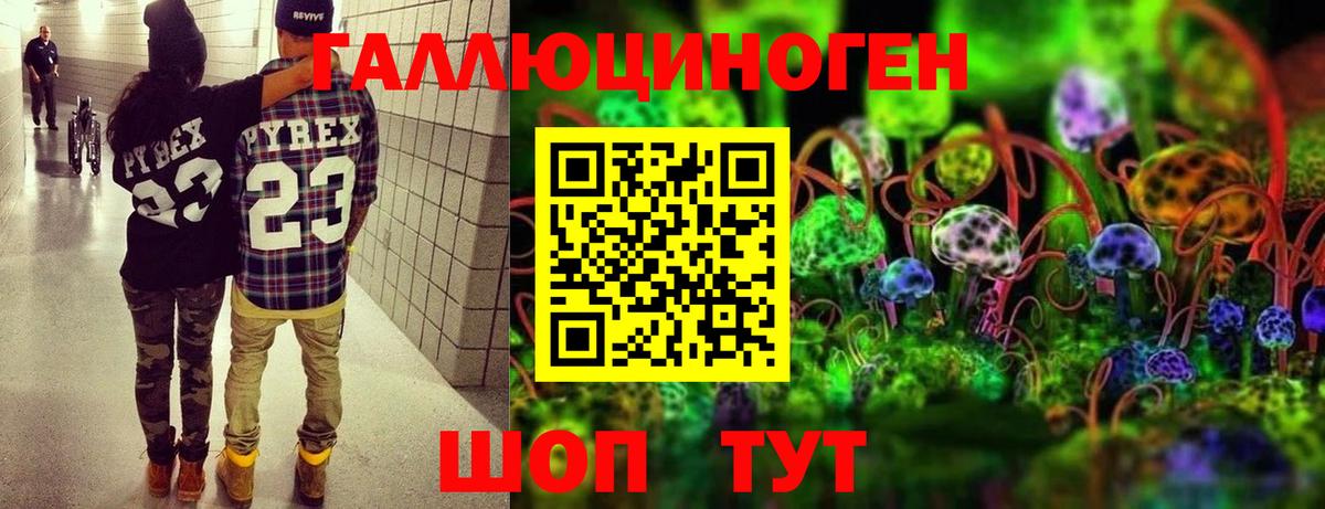 Галлюциногенные грибы Magic Shrooms Будённовск
