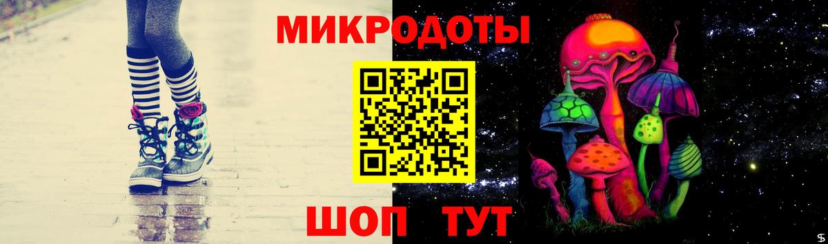 Будённовск  Псилоцибиновые грибы прущие грибы  Вход с VPN 
