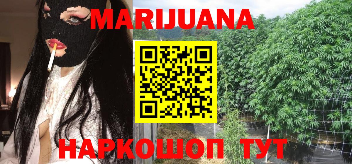 Бошки марихуана марихуана Будённовск