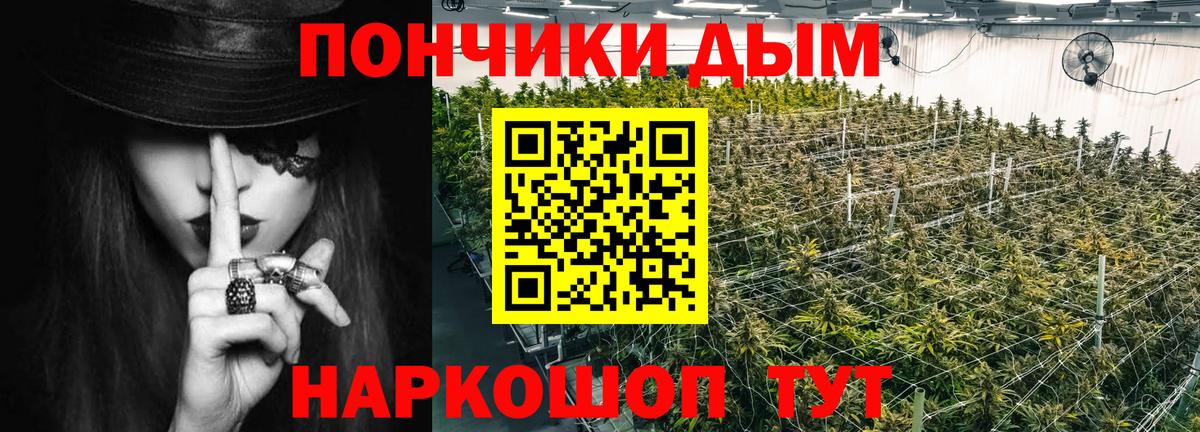 Бошки марихуана LSD WEED  Канабис семена  Вход с VPN  Будённовск  Марихуана THC 21% 